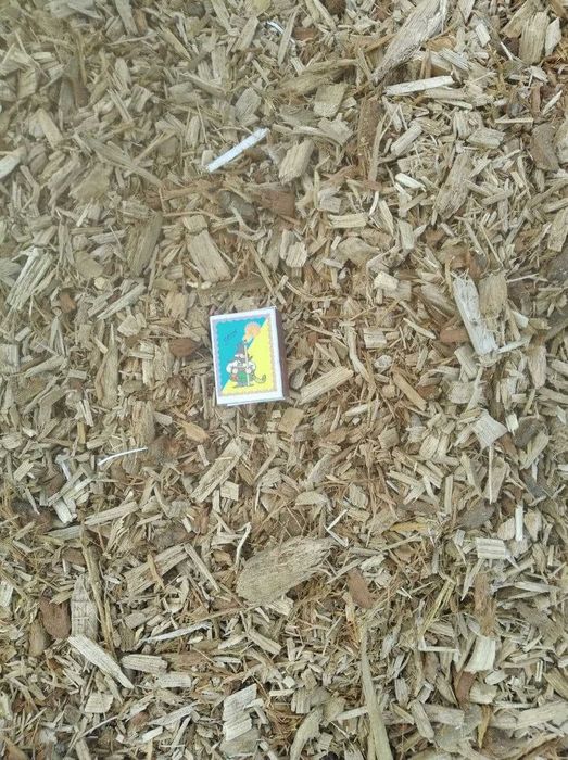 Щепа твердих порід