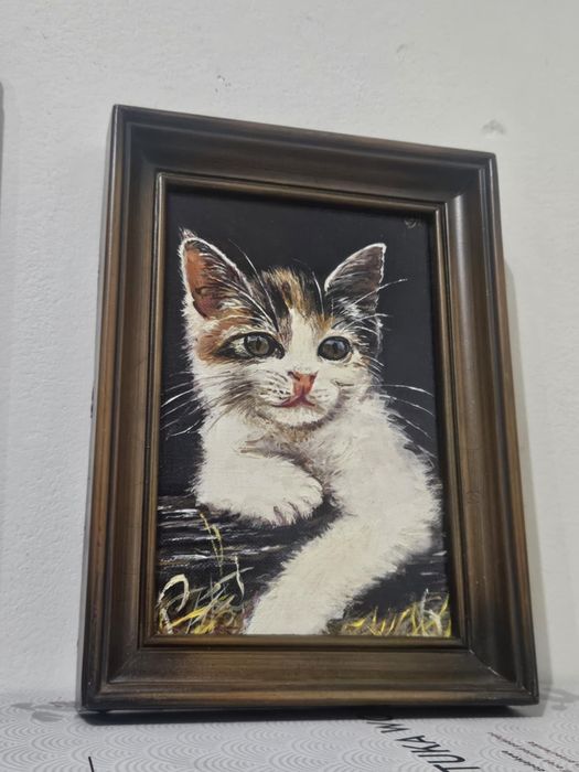 Obraz olejny kota w ramce