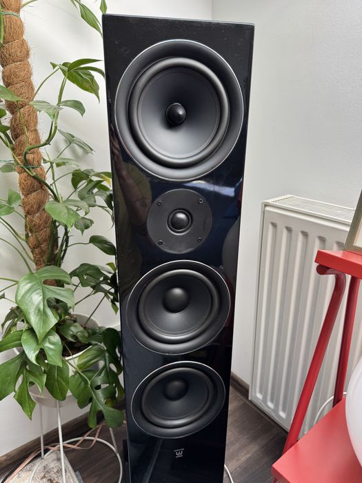 Wilson EL-10 kolumny frontowe