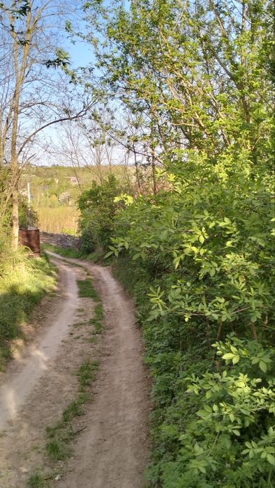 Продаж Ділянки  35 сот. с. Копачів, м . Обухів 14 км