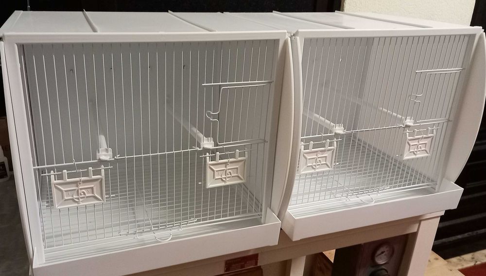 Viveiro orniex canários pássaros