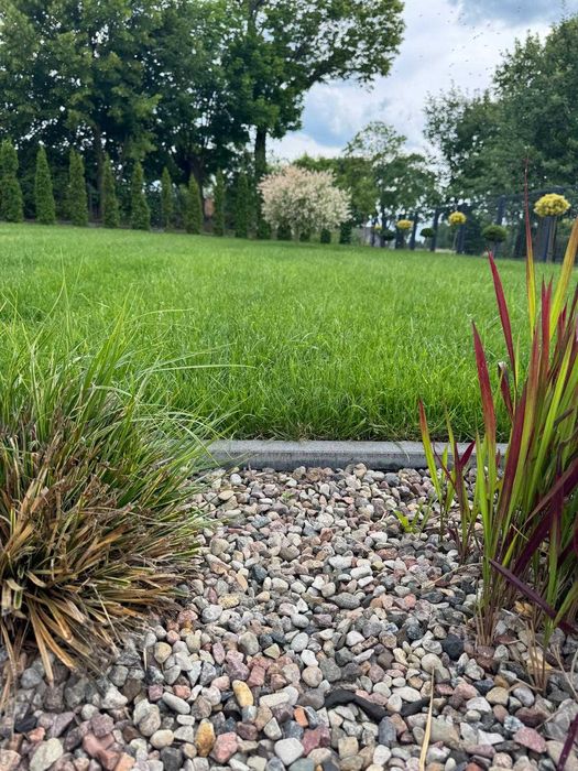 Trawa Z Rolki / PRODUCENT / Transport