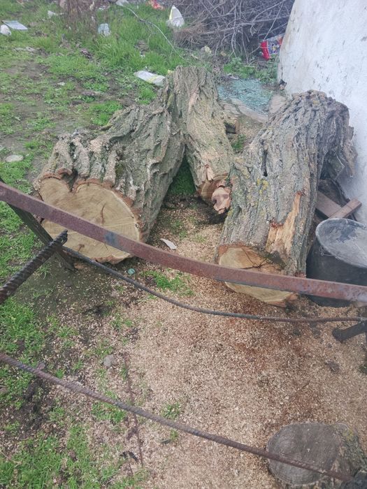 Продам пиилку прокрафт 48лі  також дрова