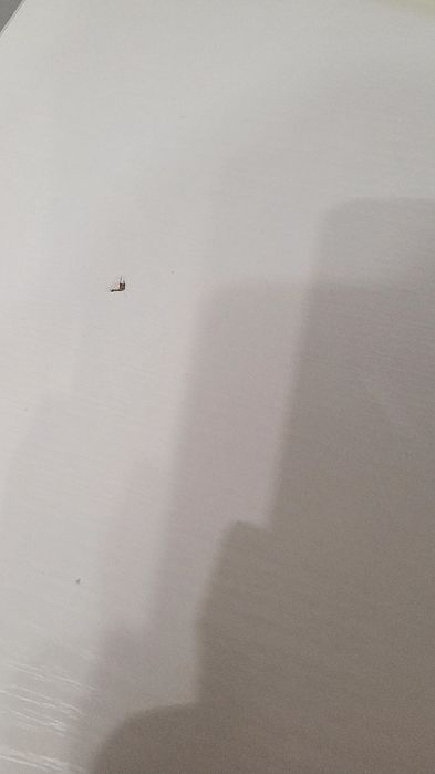 Białe biurko, solidne,  nie Ikea
