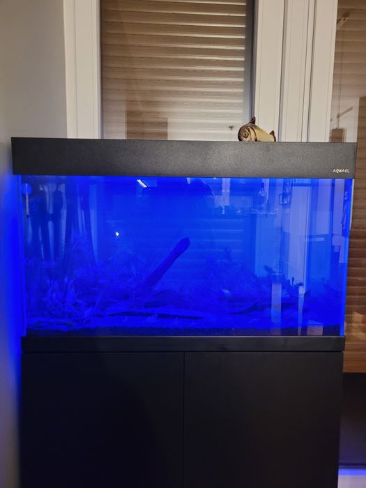 Akwarium optiwhite 125 litrów Opti Set 125