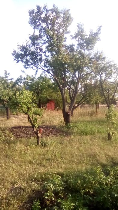 Дачний участок, дача комунальник, земельна ділянка