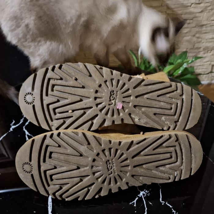 Buty Ugg Australia. Unikatowe