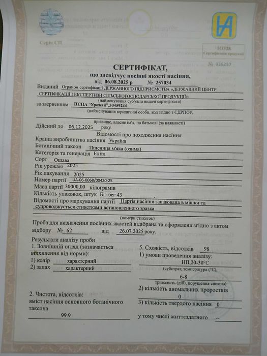 Насіння пшениці Oshawa 1 репродукції.