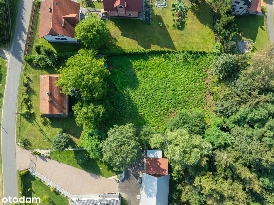 Nieruchomość z potencjałem | Dom + działka 3226 m²