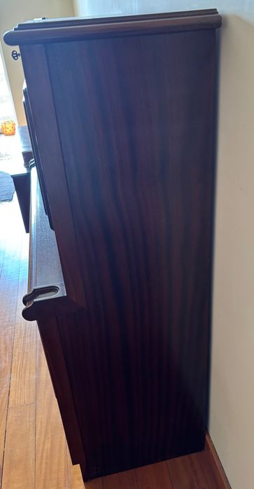 Móvel em Mogno (Bar)