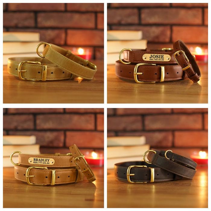 Ошейник и Поводок Золотой Серебряный Кожаный Гравировка Для Собак Кота