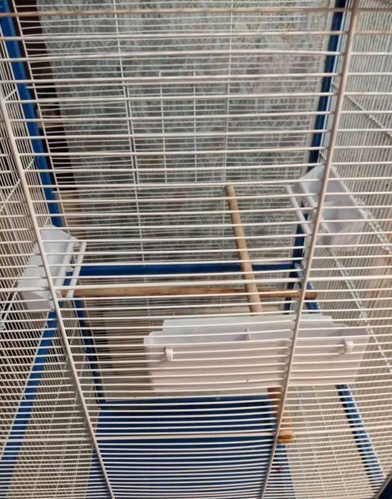 Клетка вольер для средних и крупных птиц,отправка по почте