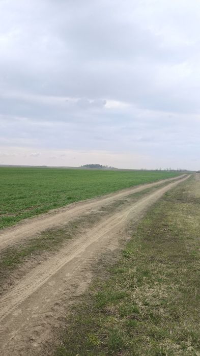 ПРОДАЖ земельної ділянки 2,5 ГА ПІД ВИРОБНИЦТВО