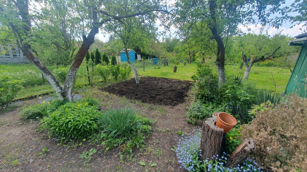 Działka rekreacyjna  ROD Grabiszyn - Widok 2