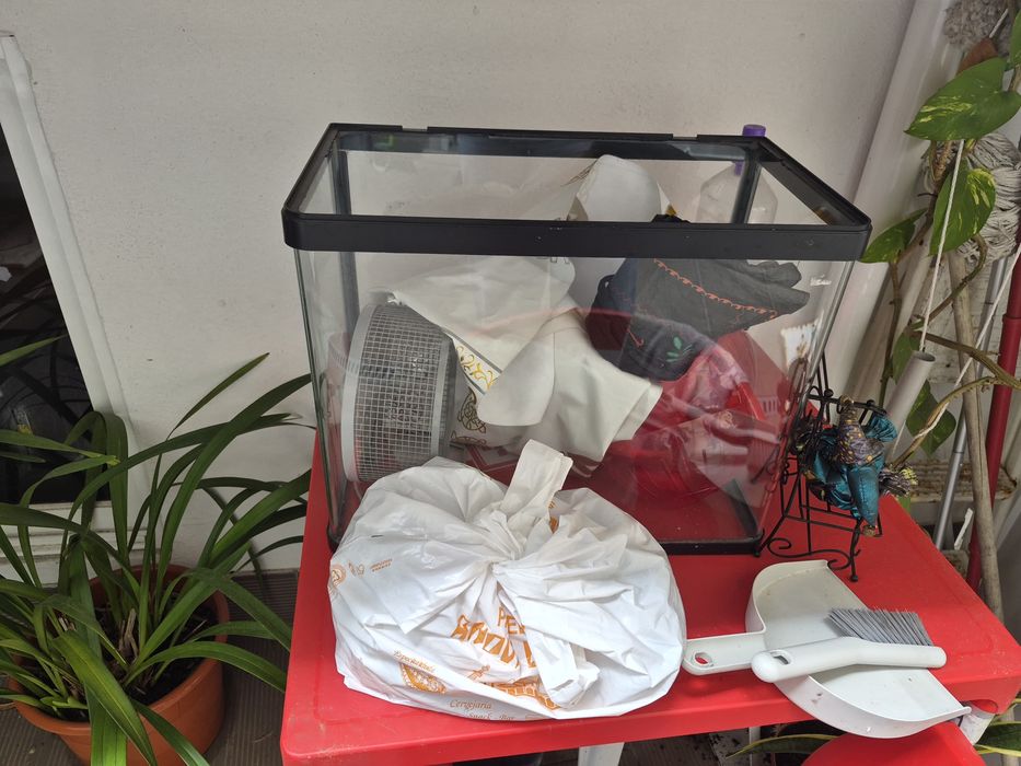 TERRÁRIO para lagartos/ hamster com brinquedos de hamster