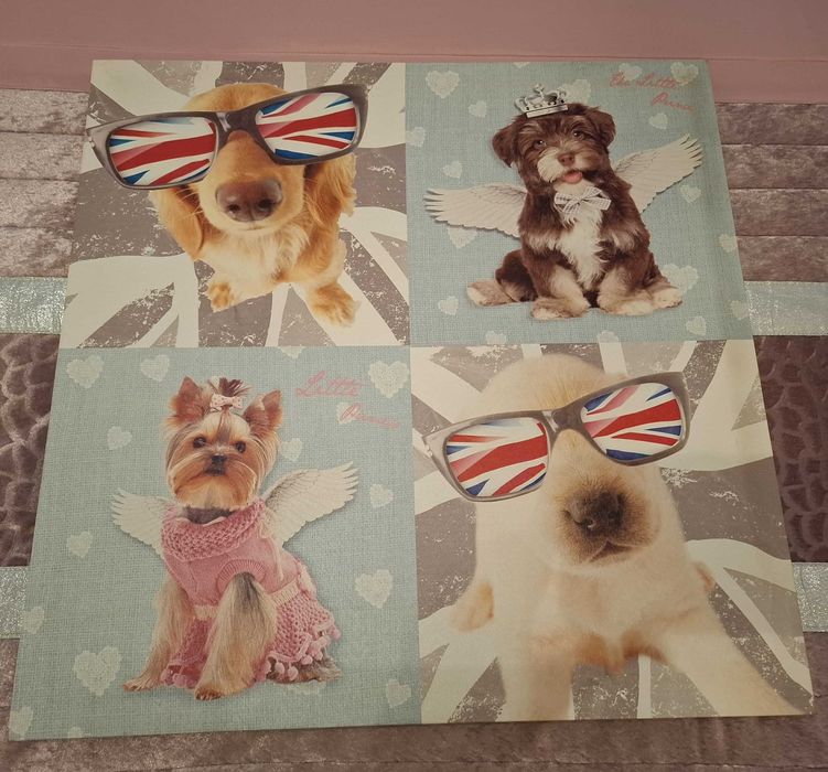 Quadro decorativo com cães (60x60)