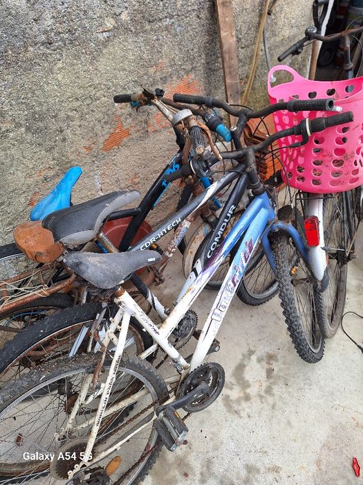 Lote de 6 bicicletas