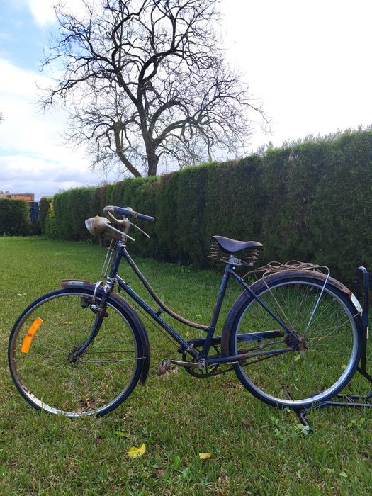 Lote de bicicletas pasteleiras