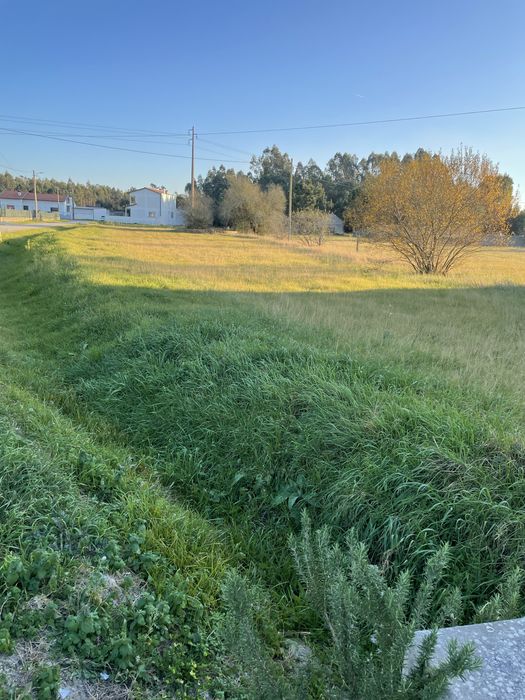 Terreno com 2600 metros quadrados