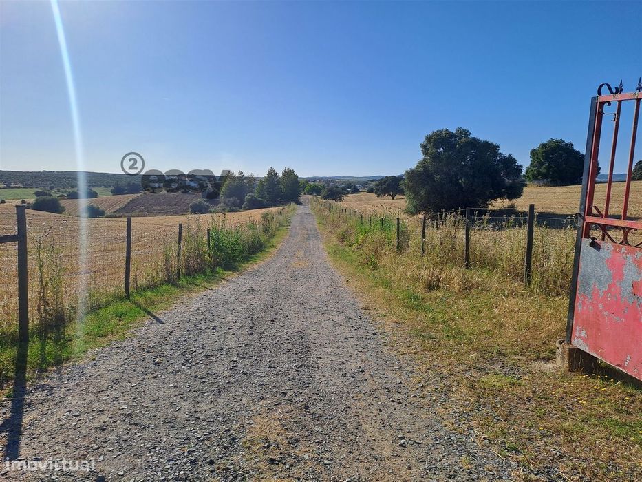 Herdade Com Sala De Ordenha Ovinos Ou Caprinos E Armazéns Em Selmes E