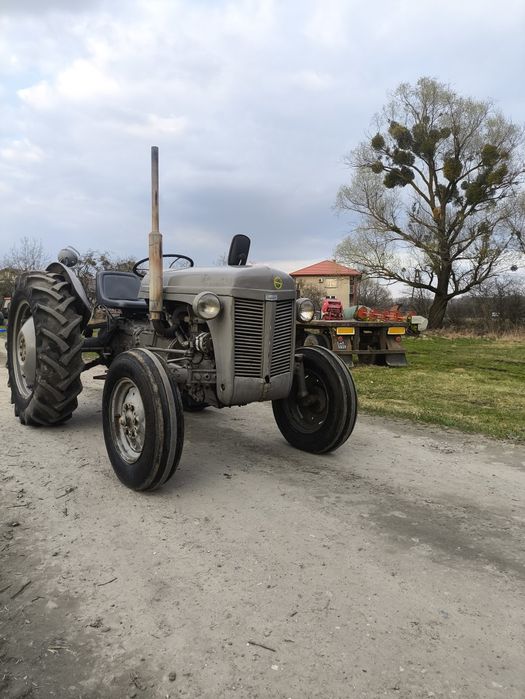 Ciągnik Ferguson te-a traktor tea 20 tea20 Massey Ted tef ursus c-330