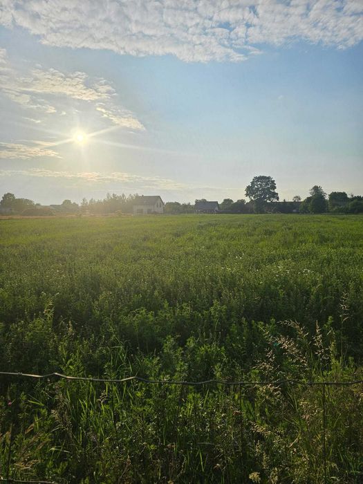 Sprzedam działkę budowlaną - Sitno, blisko Olszanki i Rybienka, 10 min do centrum Wyszkowa - Widok 6