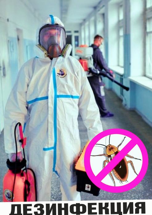 Уничтожение Травля Потравить Тараканов Прусаков Клопов Блох Комаров тд