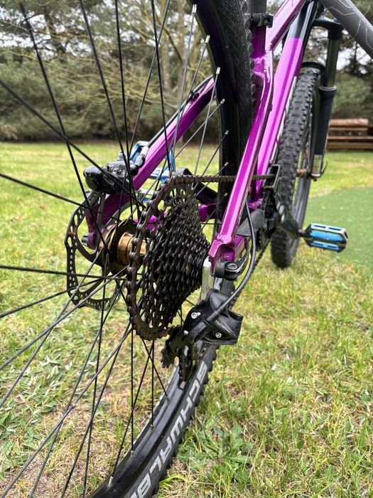CTM raptor 1.0 fioletowy