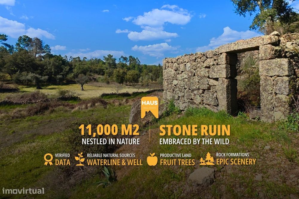 Terreno 1.1ha com Ruína e Vale Fértil | Cafede, Castelo Branco