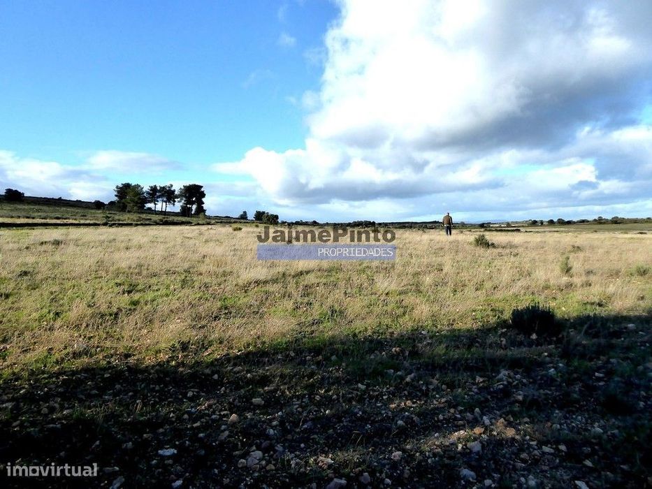 Land Plot of 210,000 m² for New Cultivations, F. C. Rodrigo, Portugal, Gua...