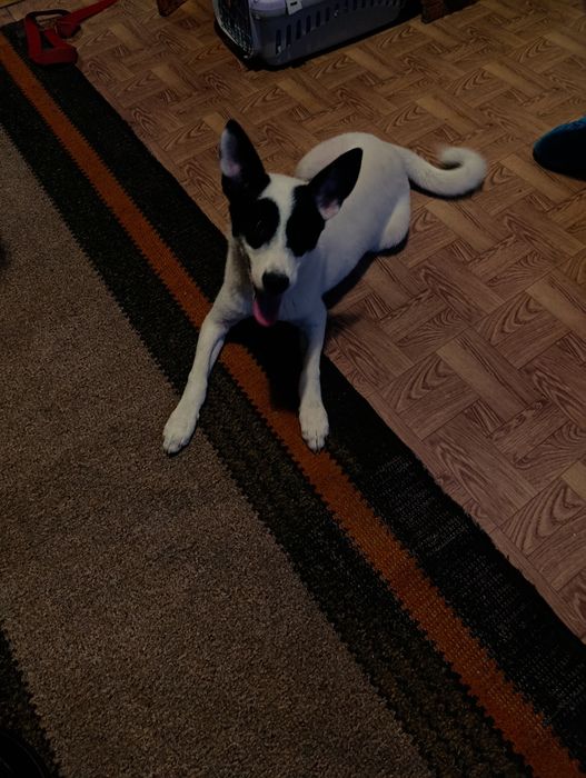 Чудова дівчинка чекає на свою родину