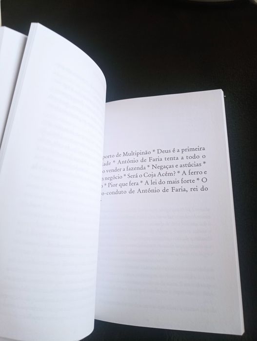 Peregrinação – Fernão Mendes Pinto -Aquilino Ribeiro; Il. André Letria