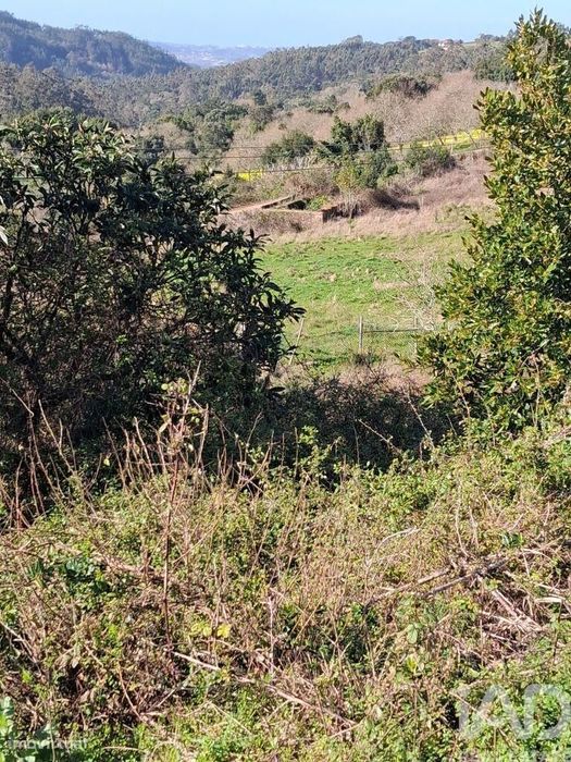 Terreno misto em Turquel