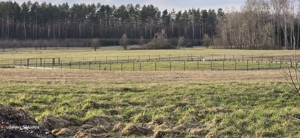 OKAZJA! Nowa Cena!!!Sprzedam dzialke budowlana Siemiany  gm. Ilawa