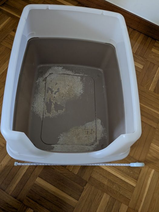 Caixa de areia para gato