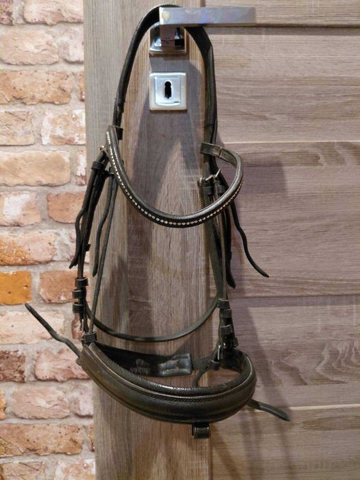 Ogłowie  w rozmiarze XFULL