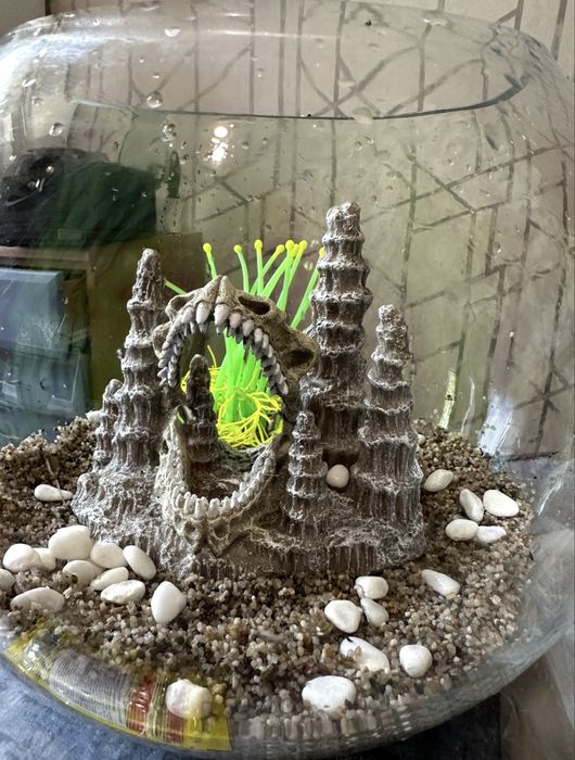 Акваріум круглий (9 літров)