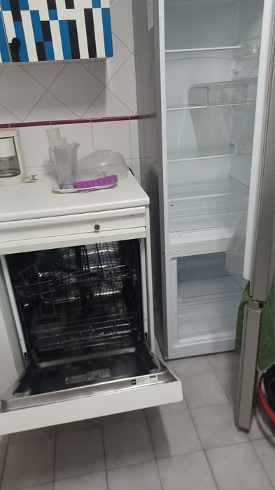 Frigorífico (100) e máquina de lavar loiça(100)