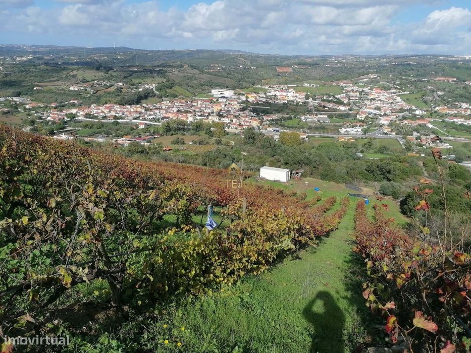 Terreno Rustico