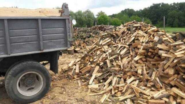 Рубані дрова Березань різних порід.