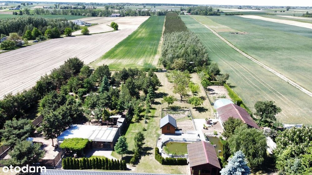 Zdjęcie 4