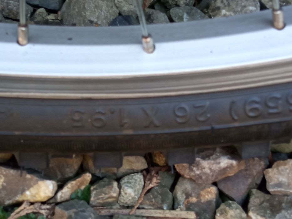 Rower crossowy Wheeler 21"