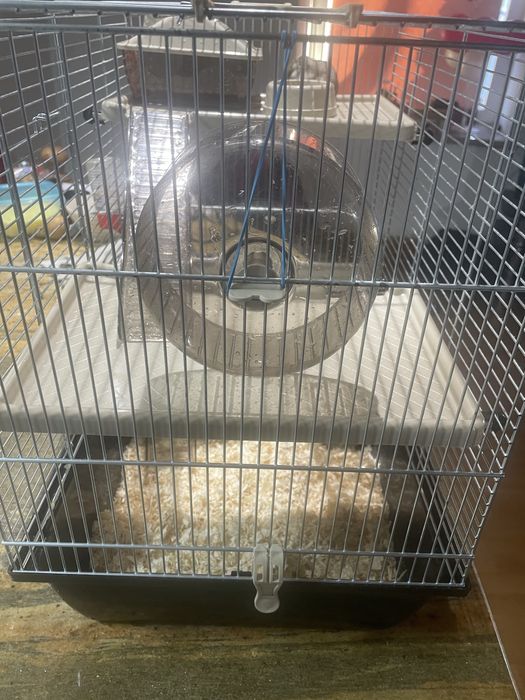 Sprzedam Chomika z klatkà