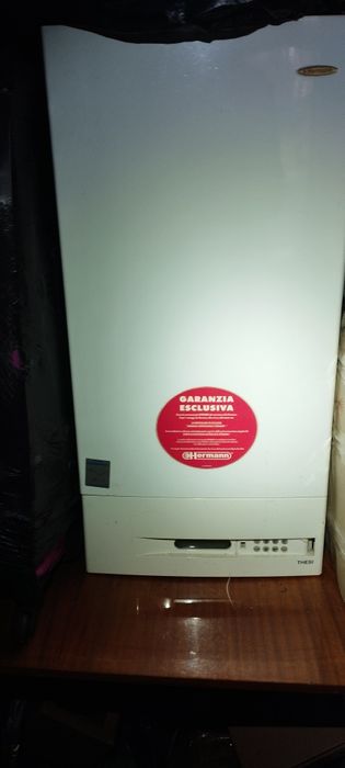 Котел газовый hermann thesi