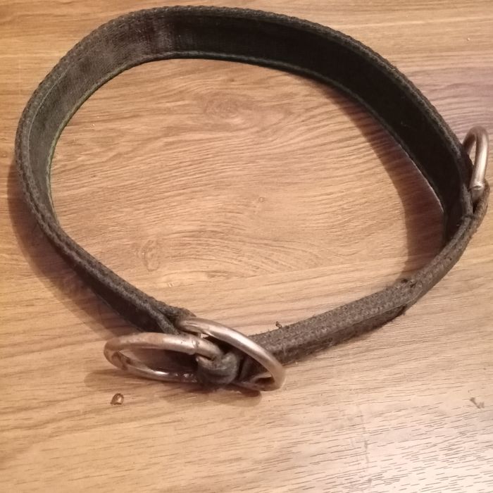 Szeroka obroża z taśmy 3cm