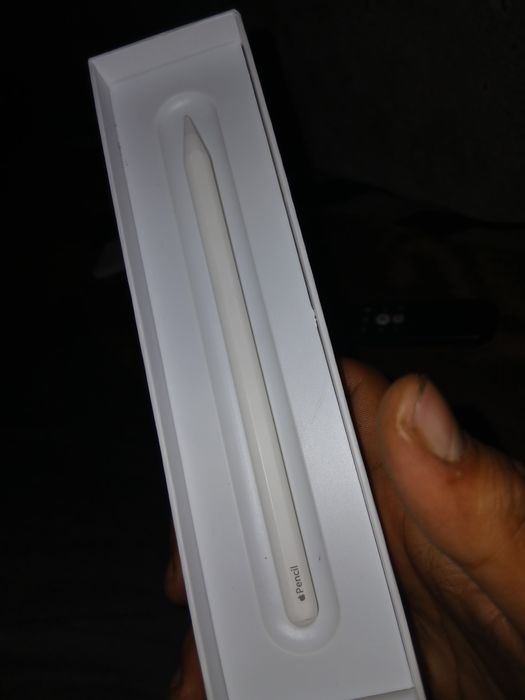 Apple Pencil 2ª Geração 100% Funcional - Aceito Trocas