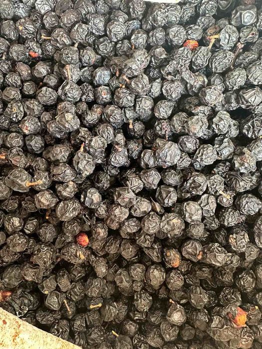 Продам сухі плоди терену, зібраного в гірській місцевості.