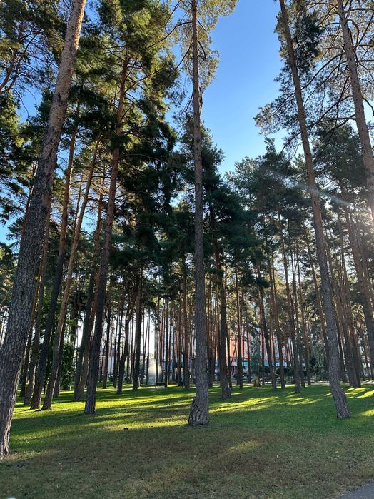 Центральний парк! Оренда приміщення з ремонтом!Локація!Житлові тарифи