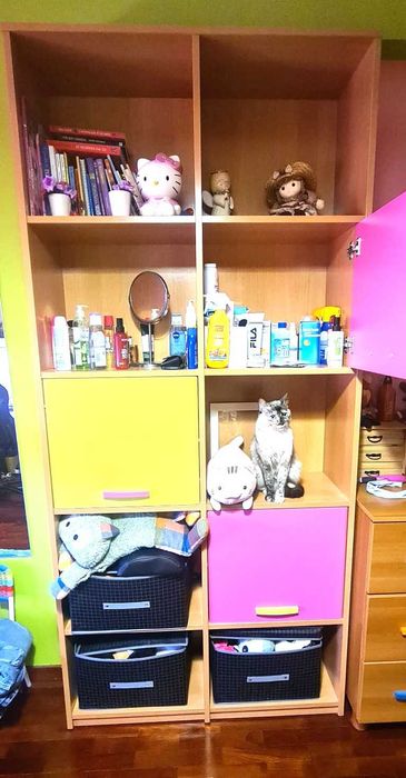 Excelente Estante em Faia