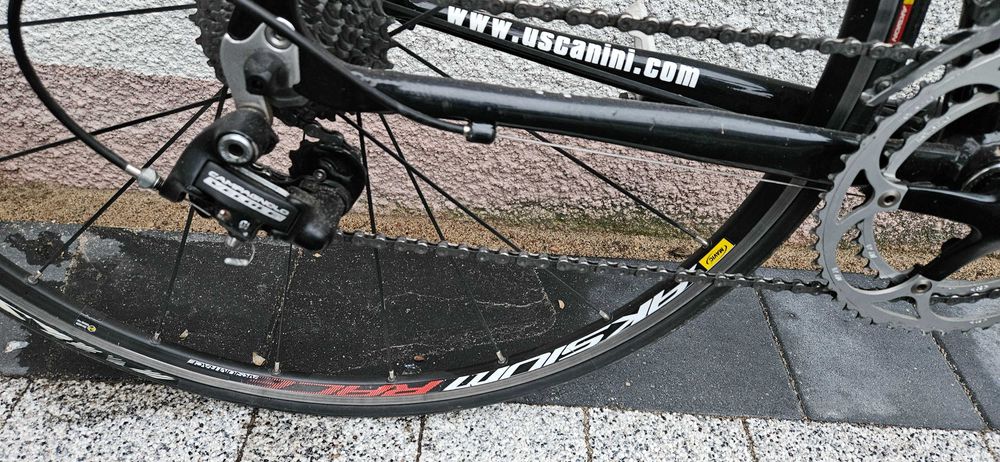 Rower szosowy U.Scanini widelec karbonowy